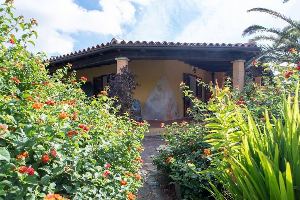 Residence Villa Smeralda Telti Buitenkant foto